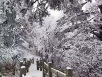 花水湾客来居公寓 - 其他