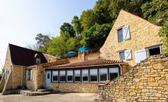 Unusual Cottage, le Troglodyte with Panoramic View -Logis de Chalons in Périgord