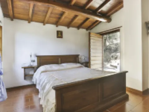 Castagneto