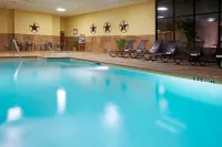 홀리데이 인 호텔 & 스위트 보몬트 플라자 (I-10 & 월든) 바이 IHG - 수영장