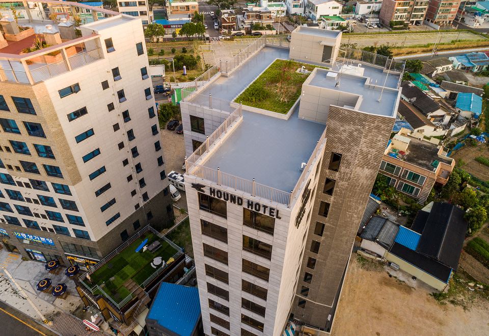 하운드호텔 송정