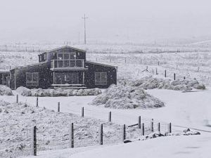 Tussock Lodge - Waipiata