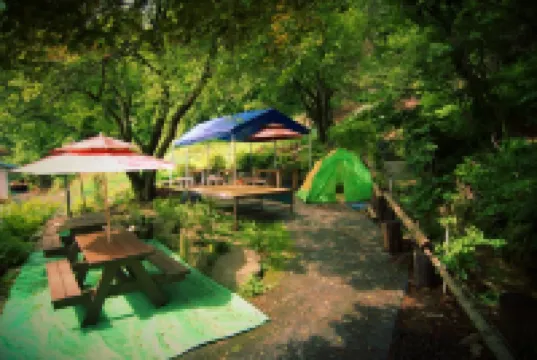 無珠VIP旅館 住宿飯店