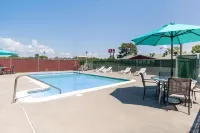 Quality Inn Stephens City-Winchester South - Pools