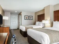 Comfort Inn & Suites Sturbridge-Brimfield Hotels in Sturbridge