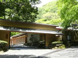 Oku Yugawara Tsubaki