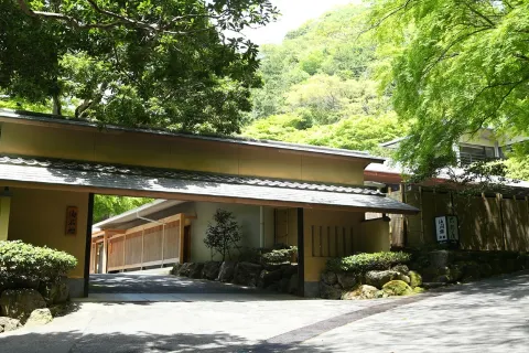 Oku Yugawara Tsubaki