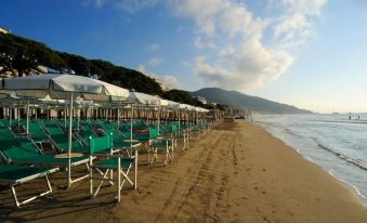a beach with rows of green and white striped umbrellas lined up along the sand at Hotel Majestic
