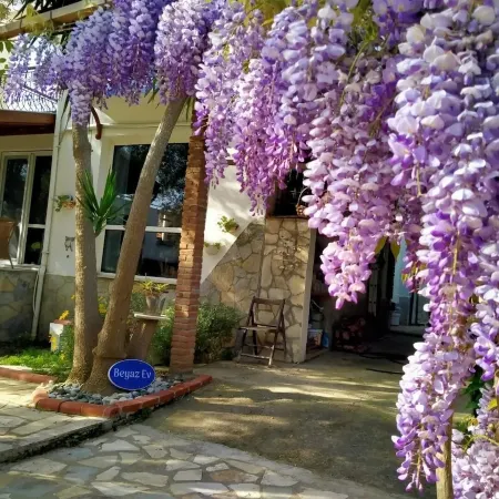 Beyaz Ev