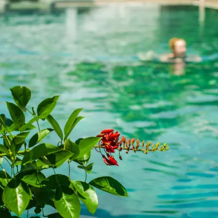 Legacy Hoi An Resort