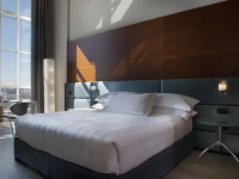 ดับเบิลทรีบายฮิลตัน ตูริน ลิงกอตโต โรงแรมในทูริน