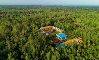 Jungle Breeze Resort Pondicherry