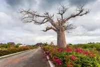 Twiga Beach Resort & Spa