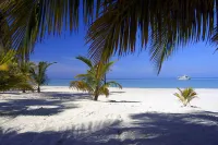 Charela Inn Hotels in Negril