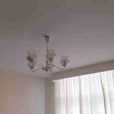 Spacious Executive Holiday Apartment in Bulawayo Others