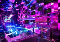 Social Hotel - Bar