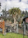 The New Star Motel - 1950s Extended-Stay Lodging and Retreat Center