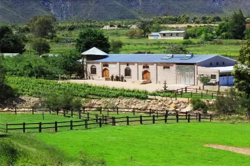 Oaksrest Vineyards Guest Farm - Wifi