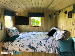 The Peacock Shepherds Hut at Hafoty Boeth