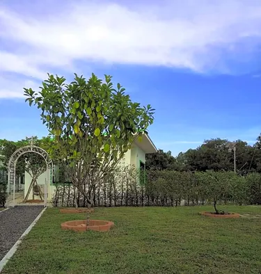 รูปภาพของNorn D @Rayong