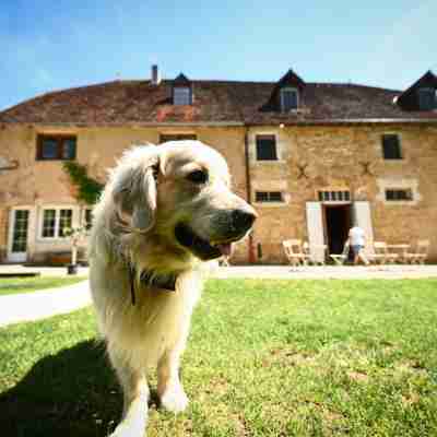 Domaine de Bersaillin Hotel Exterior