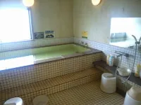 Crane Hotel Takajo - Varme kilder
