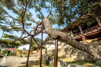 Damyang Mangindang House