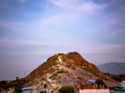 Ponnis Hotel Hotels in Palani