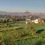 Apex Hotel Hotels in Baddi