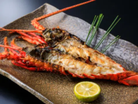 Shirakabeso Hotels in Izu