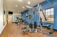 Comfort Inn & Suites Near Bethel College
