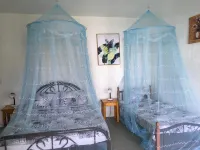 Pintuyan Dive Resort