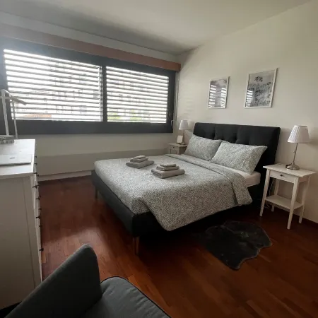 Lugano City Apartment in Cassarate Facing the Lake, 5Min from the Centre