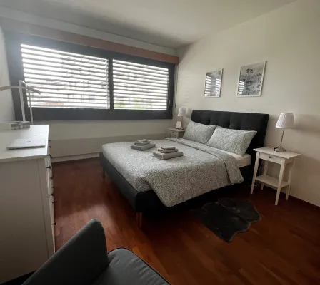 Lugano City Apartment in Cassarate Facing the Lake, 5Min from the Centre - Hot Tub