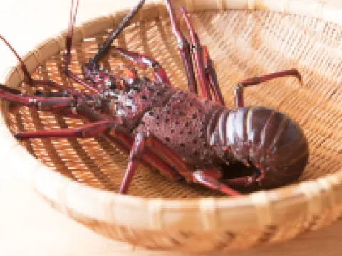 民宿 大岩 伊方町のホテル