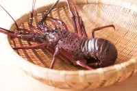 Minshuku Oiwa Hotels in Ikata