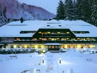 Hotel Hofgut Sternen Hotels in Breitnau