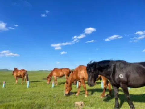 Saihanba Cozy Farmhouse