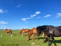 Saihanba Cozy Farmhouse