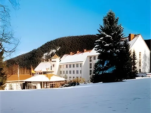 Waldhotel Berghof Hotels in Finsterbergen