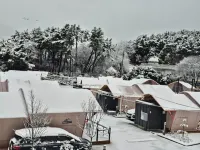 Daebudo Glam Forest Daebudo