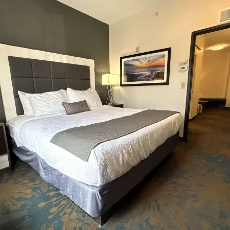 Best Western Erie Inn Suites