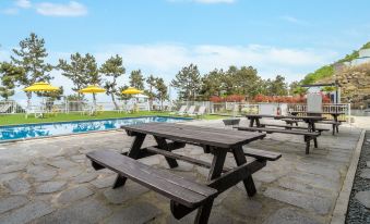 Yeosu Sand Grain Pet Friendly Heated Pool Pension