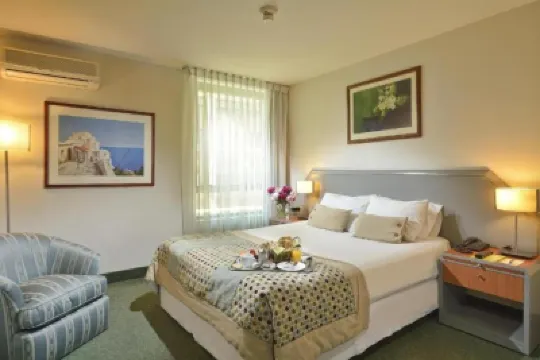 Hotel Eurotel El Bosque ヴィタキューラ周辺のホテル