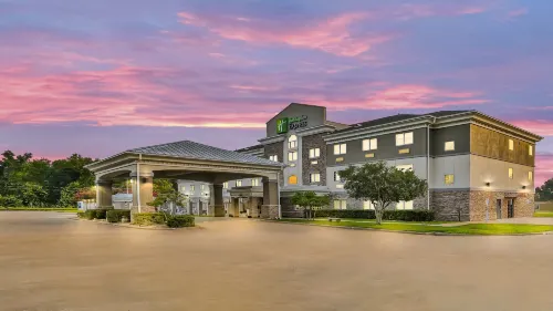 Holiday Inn Express PALESTINE by IHG