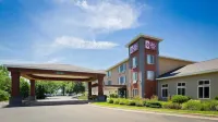 Holiday Inn Express & Suites Coldwater Hotels in Coldwater