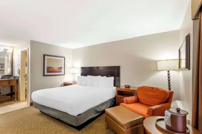 Best Western CottonTree Inn Hotels near Martinez Park