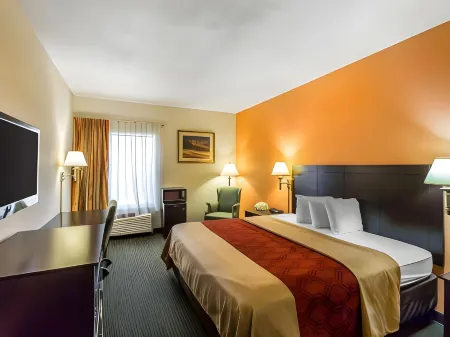 Quality Inn Отели рядом с достопримечательностью «Citi Trends»