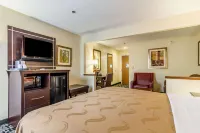 Quality Inn Texas City I-45 Hotels in Hitchcock