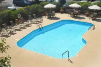 Hampton Inn Columbus-International Airport - Pools